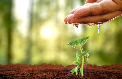 1665632048609294.png image.png