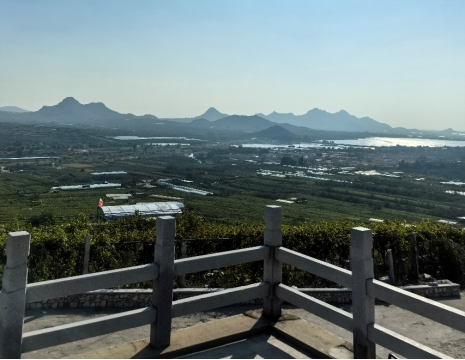 http://www.917xs.com平度大澤山葡萄園引進(jìn)萊恩德土壤肥料檢測(cè)儀， 輕松掌握土壤營(yíng)養(yǎng)